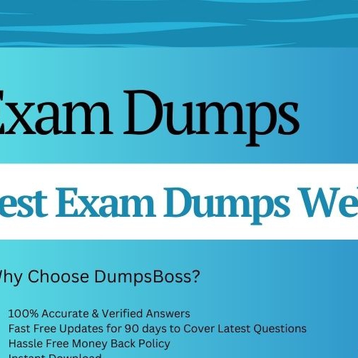 Ying Best Exam Dumps Websites 