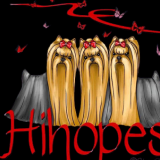 Hihopes Yorkshire Terriers