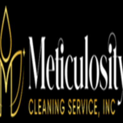 Meticulosity Cleaning