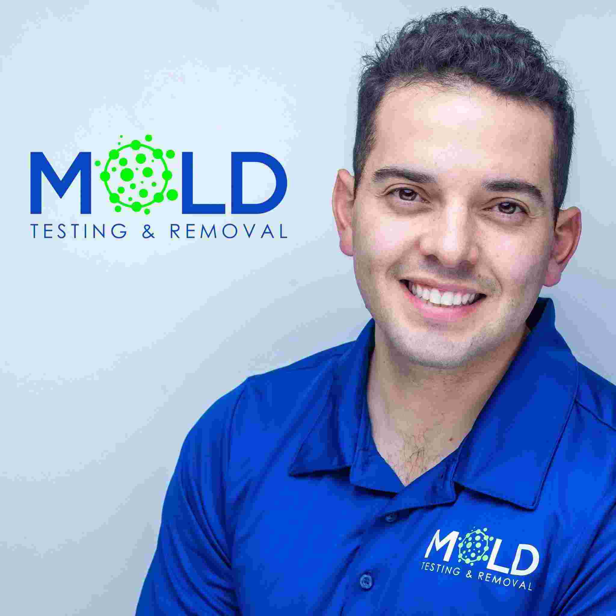 Mold  Removal