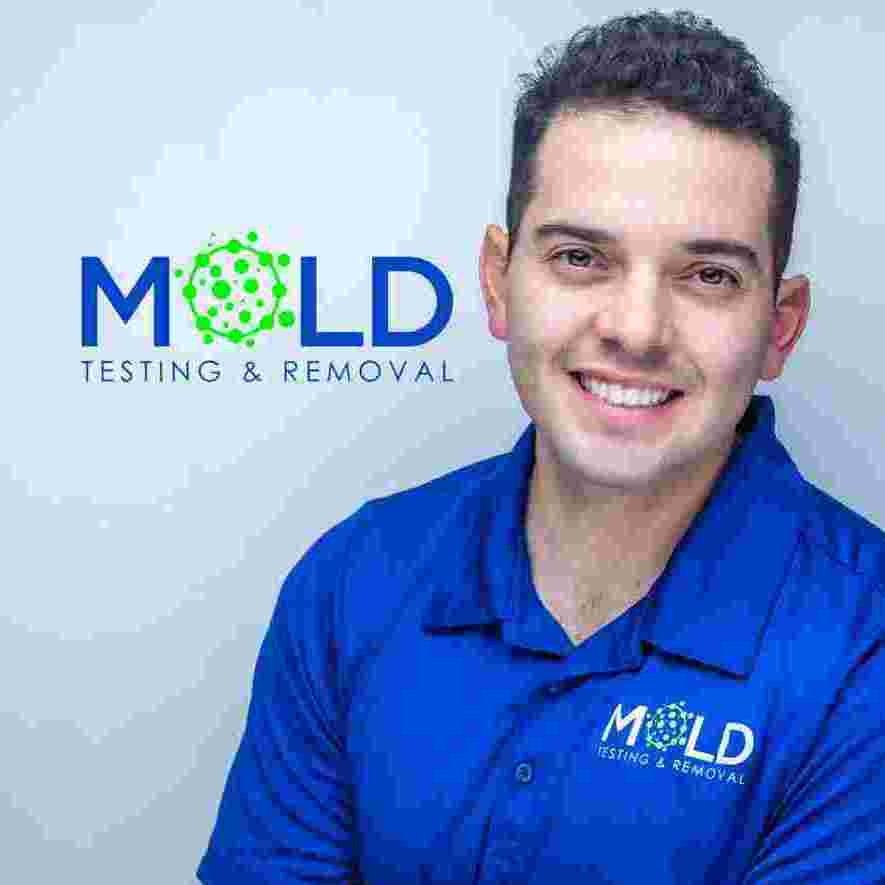 Bestlamold Testing