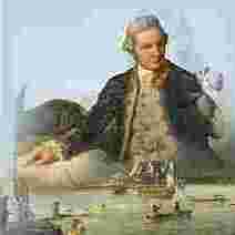 Captain Cooks