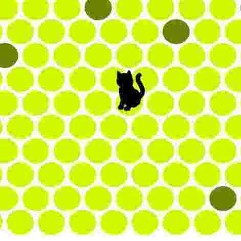 Trap The Cat