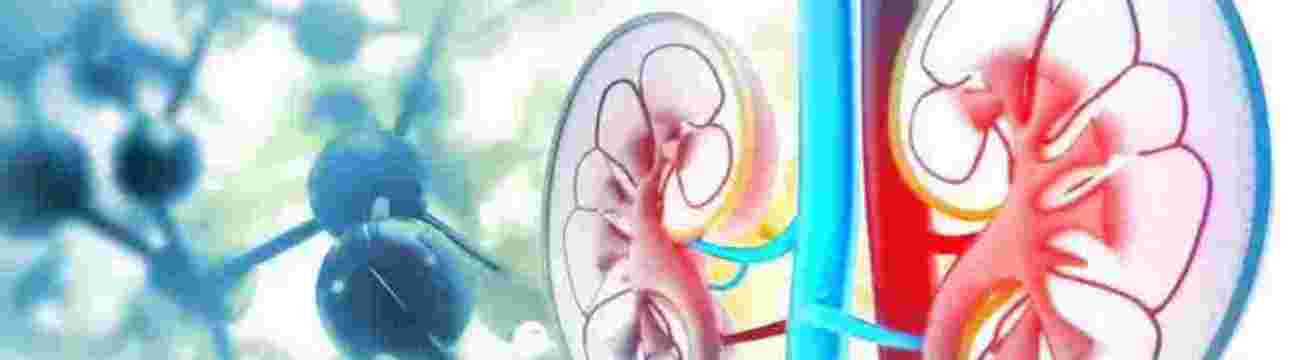 North Delhi Uro Gynae Clinic