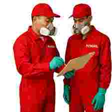 Jasabasmirayap Jasabasmirayap