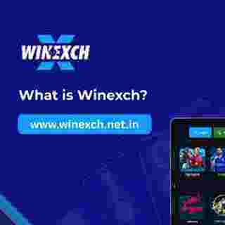 Winexch 504