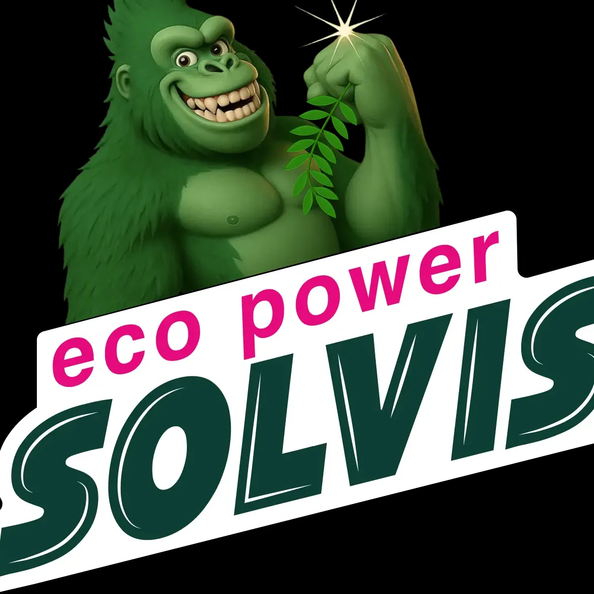 Solvis Ecopower