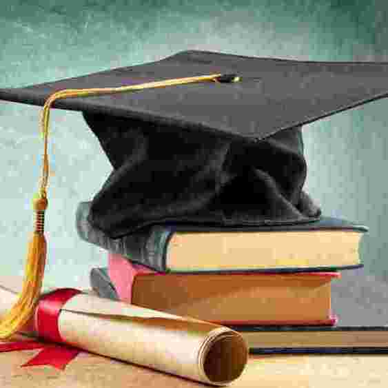 Education  Insights