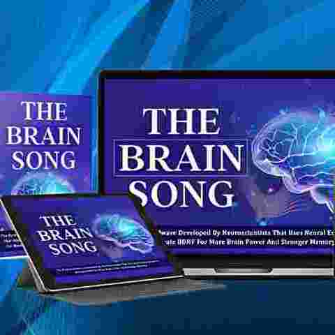 TheBrain Song
