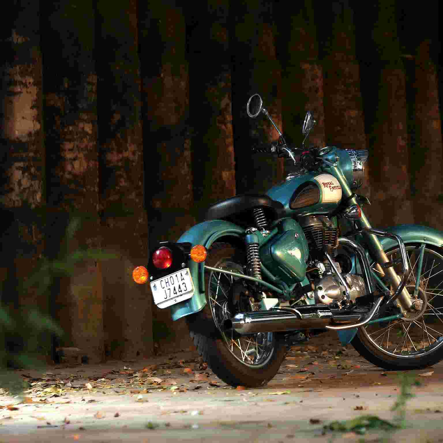 Raju Rajput